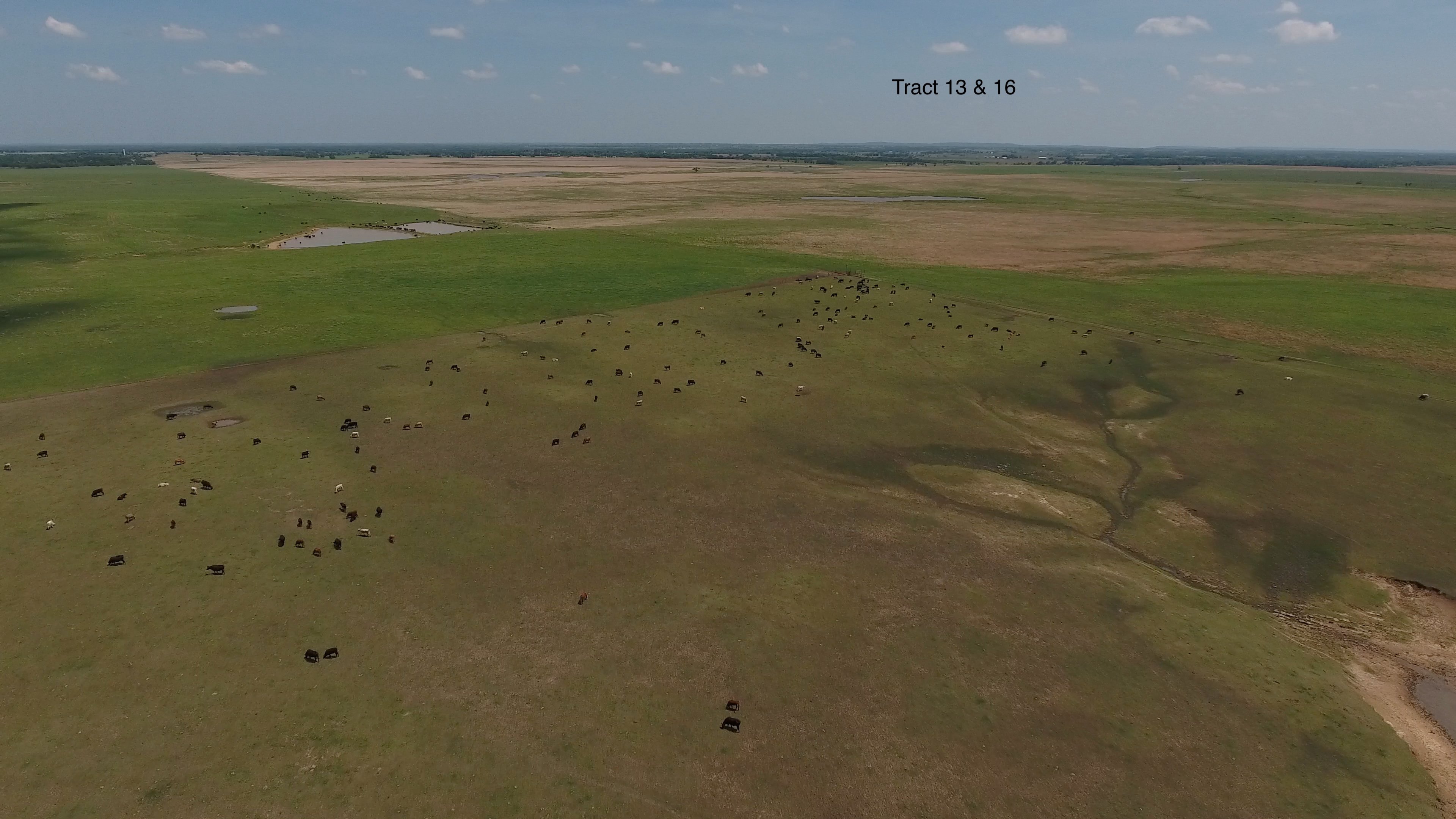 Property photo 23 - LAND AUCTION - 5,778+/-ACRES OFFERED IN 21 TRACTS IN OKMULGEE COUNTY, OKLAHOMA