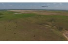 Property photo 23 - LAND AUCTION - 5,778+/-ACRES OFFERED IN 21 TRACTS IN OKMULGEE COUNTY, OKLAHOMA