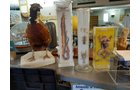 Property photo 17 - LIVE CCHS PERSONAL PROPERTY AUCTION IN WHITLEY COUNTY, INDIANA