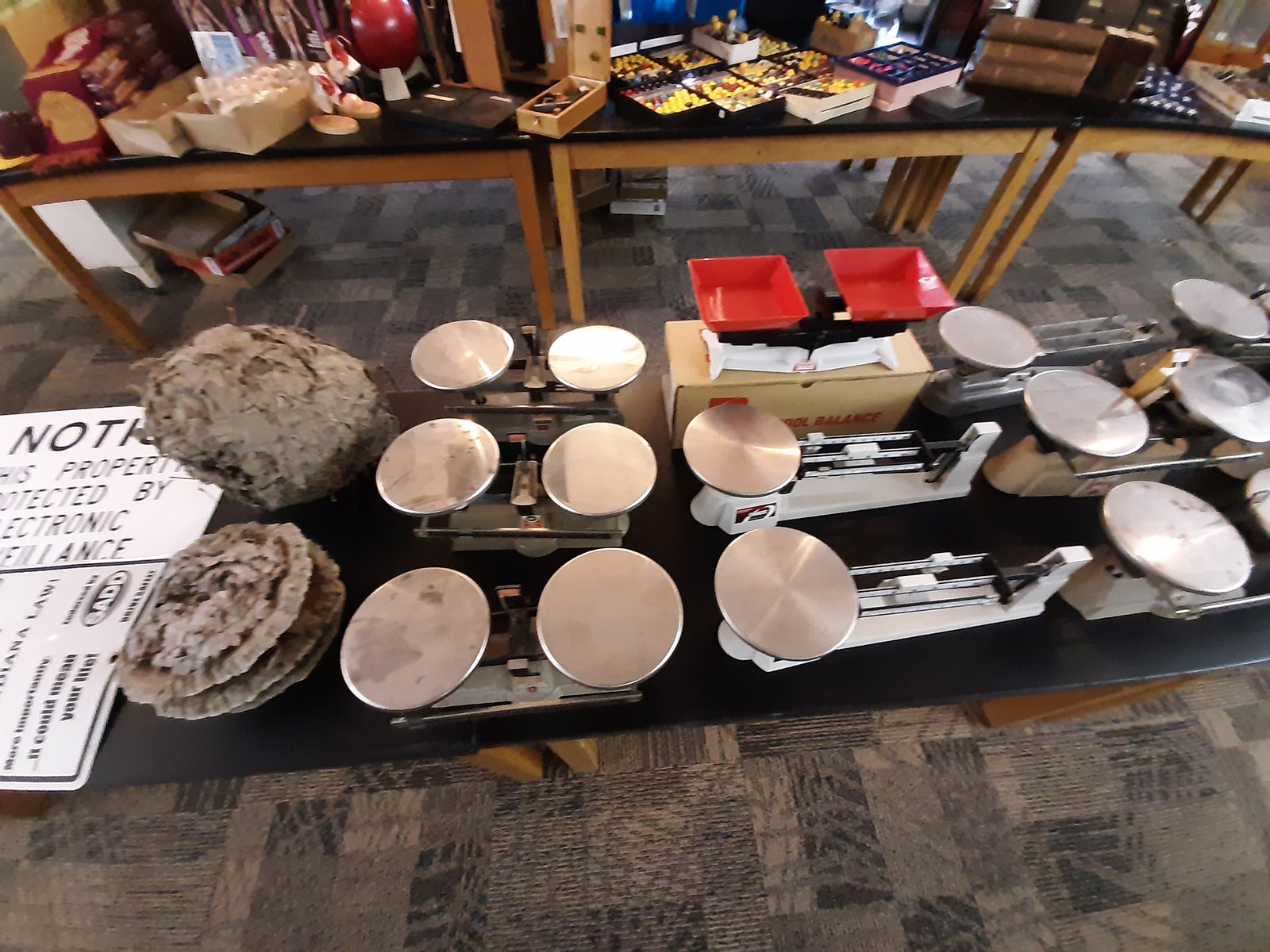 Property photo 49 - LIVE CCHS PERSONAL PROPERTY AUCTION IN WHITLEY COUNTY, INDIANA