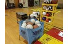 Property photo 96 - LIVE CCHS PERSONAL PROPERTY AUCTION IN WHITLEY COUNTY, INDIANA