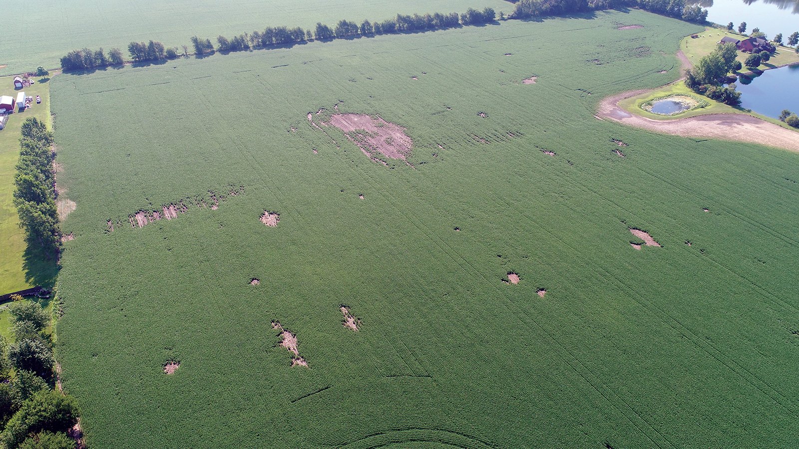 Clinton County, Indiana Farmland - ONLINE ONLY LAND AUCTION - 36.14+/- ACRES OFFERED IN 1 TRACT IN CLINTON COUNTY, INDIANA