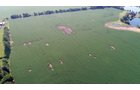 Clinton County, Indiana Farmland - ONLINE ONLY LAND AUCTION - 36.14+/- ACRES OFFERED IN 1 TRACT IN CLINTON COUNTY, INDIANA