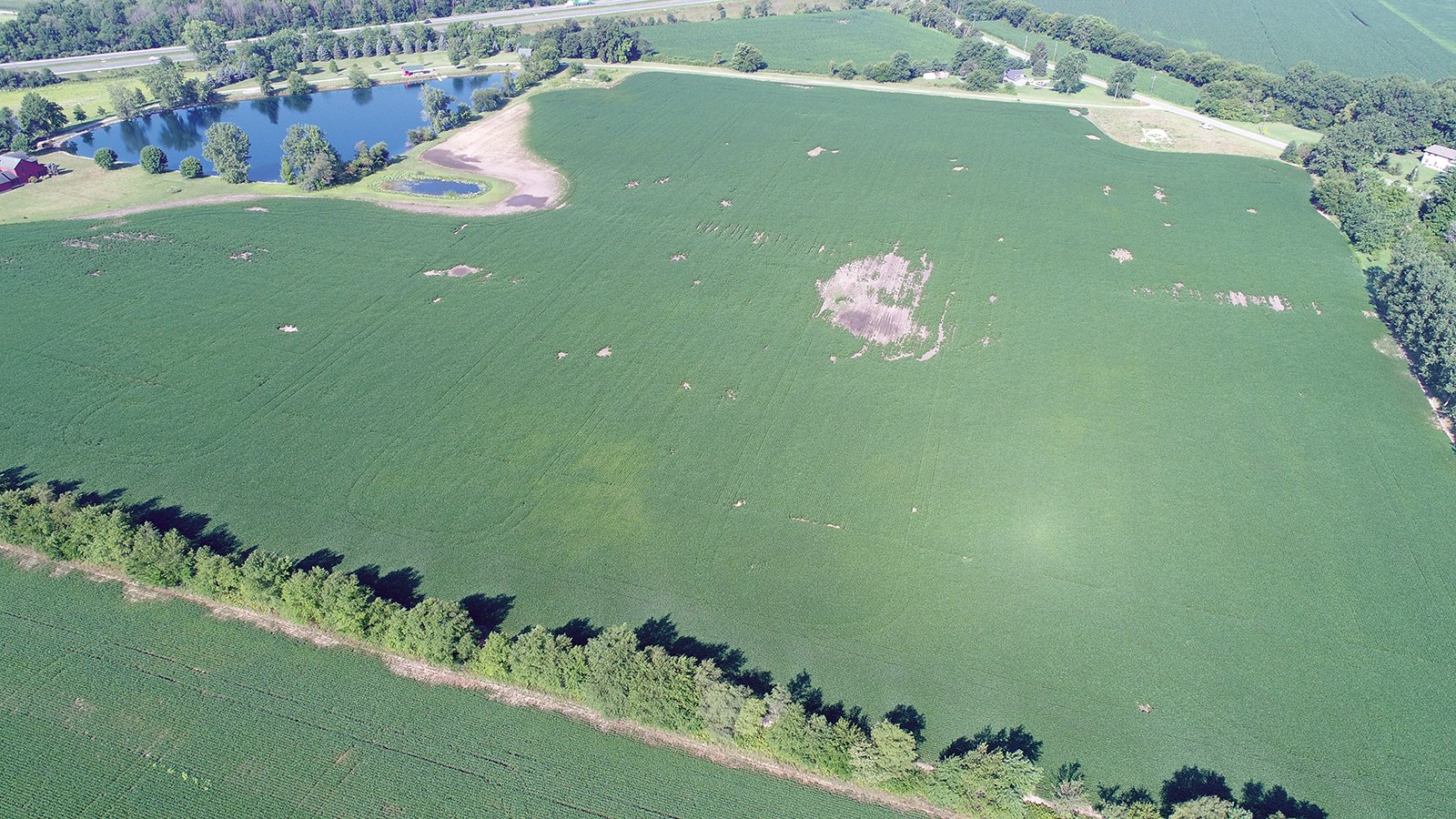 Clinton County, Indiana Farmland - ONLINE ONLY LAND AUCTION - 36.14+/- ACRES OFFERED IN 1 TRACT IN CLINTON COUNTY, INDIANA