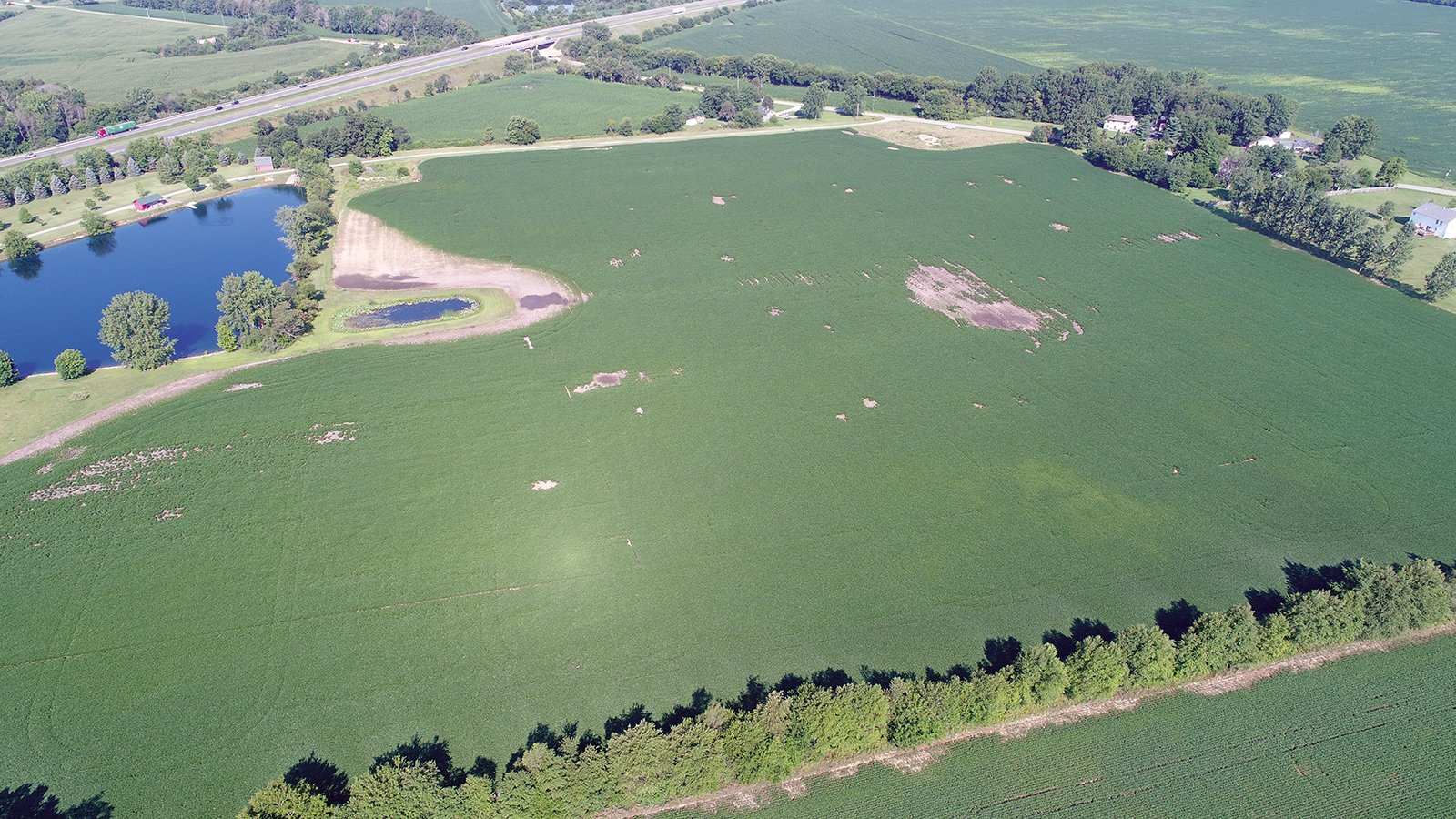 Clinton County, Indiana Farmland - ONLINE ONLY LAND AUCTION - 36.14+/- ACRES OFFERED IN 1 TRACT IN CLINTON COUNTY, INDIANA