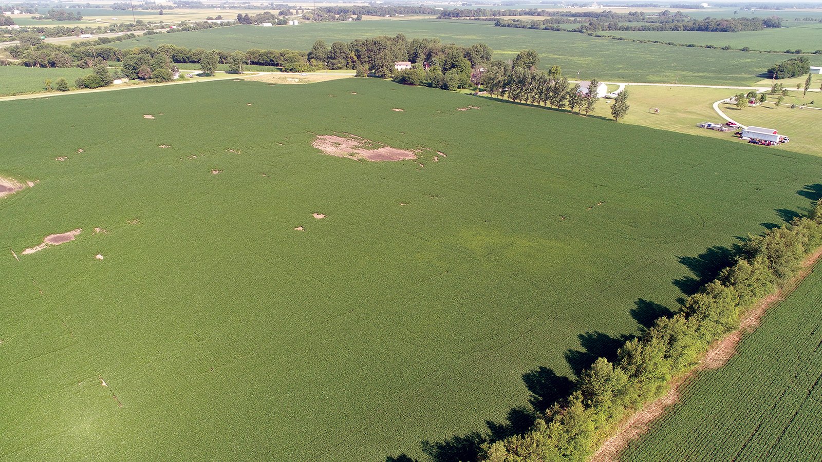 Clinton County, Indiana Farmland - ONLINE ONLY LAND AUCTION - 36.14+/- ACRES OFFERED IN 1 TRACT IN CLINTON COUNTY, INDIANA
