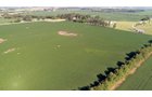 Clinton County, Indiana Farmland - ONLINE ONLY LAND AUCTION - 36.14+/- ACRES OFFERED IN 1 TRACT IN CLINTON COUNTY, INDIANA