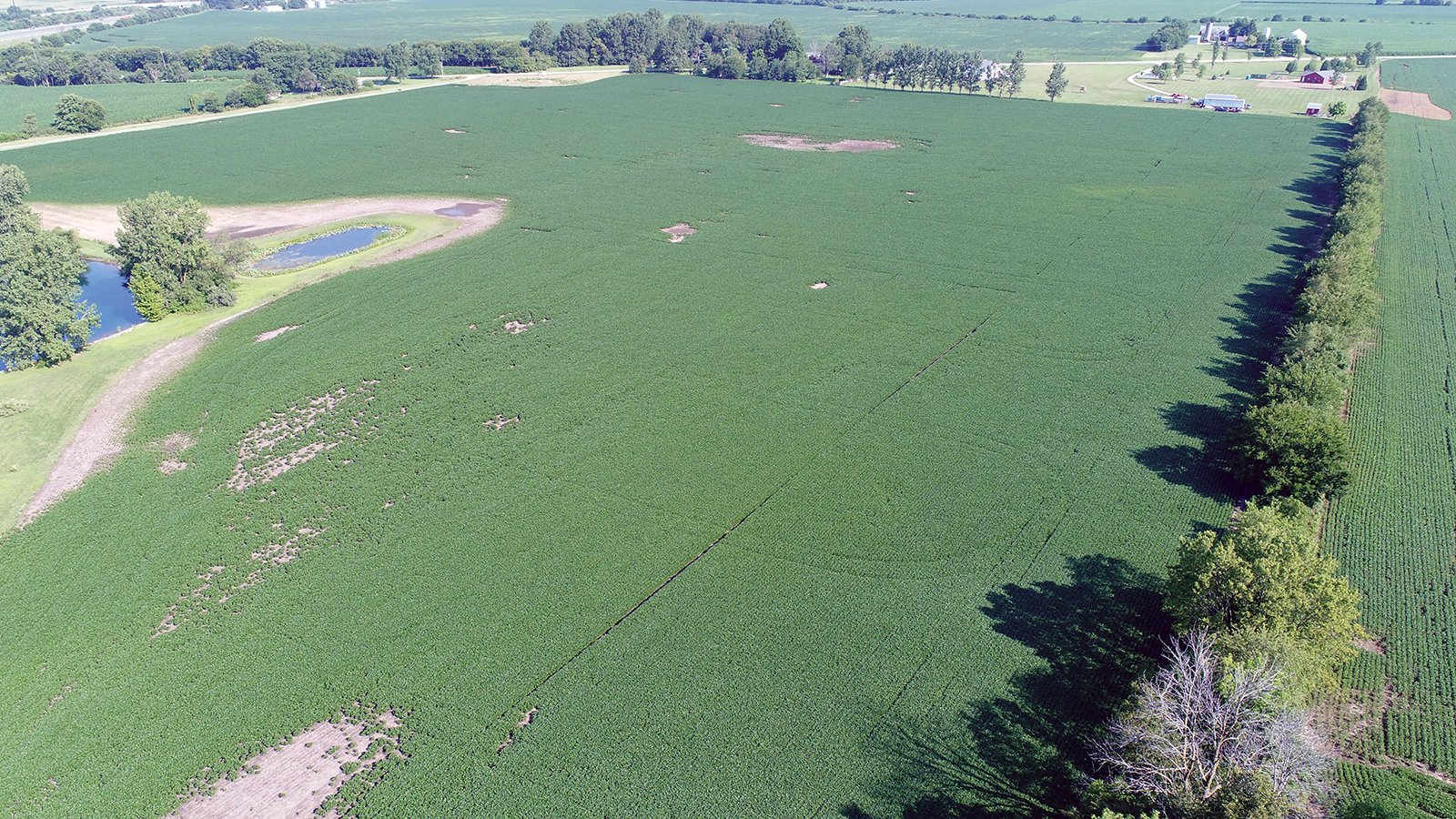 Clinton County, Indiana Farmland - ONLINE ONLY LAND AUCTION - 36.14+/- ACRES OFFERED IN 1 TRACT IN CLINTON COUNTY, INDIANA