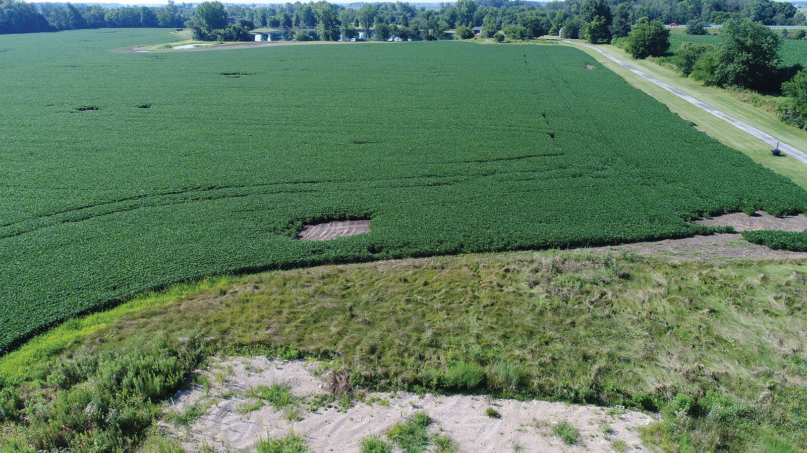 Clinton County, Indiana Farmland - ONLINE ONLY LAND AUCTION - 36.14+/- ACRES OFFERED IN 1 TRACT IN CLINTON COUNTY, INDIANA