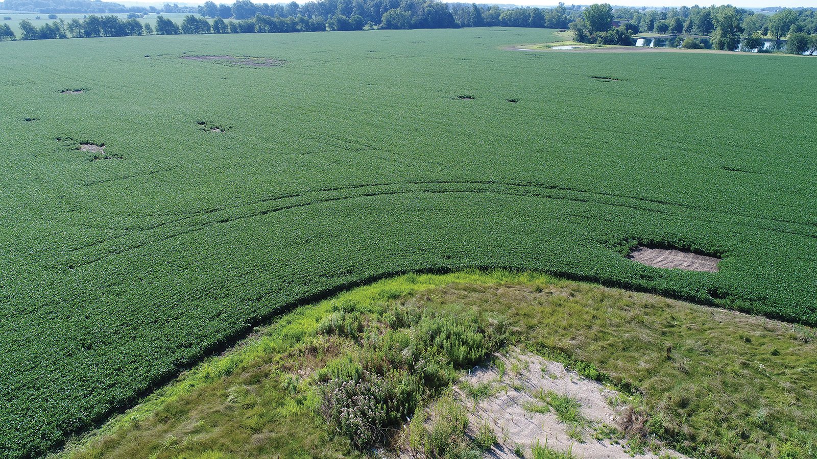 Clinton County, Indiana Farmland - ONLINE ONLY LAND AUCTION - 36.14+/- ACRES OFFERED IN 1 TRACT IN CLINTON COUNTY, INDIANA