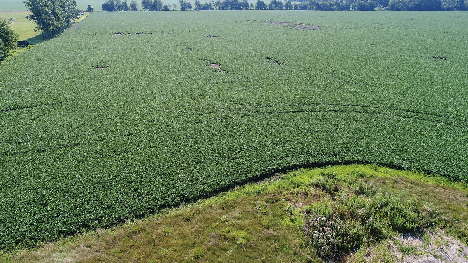 Clinton County, Indiana Farmland - ONLINE ONLY LAND AUCTION - 36.14+/- ACRES OFFERED IN 1 TRACT IN CLINTON COUNTY, INDIANA