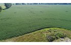 Clinton County, Indiana Farmland - ONLINE ONLY LAND AUCTION - 36.14+/- ACRES OFFERED IN 1 TRACT IN CLINTON COUNTY, INDIANA