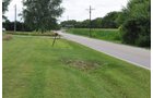 Clinton County, Indiana Farmland - ONLINE ONLY LAND AUCTION - 36.14+/- ACRES OFFERED IN 1 TRACT IN CLINTON COUNTY, INDIANA