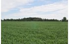 Clinton County, Indiana Farmland - ONLINE ONLY LAND AUCTION - 36.14+/- ACRES OFFERED IN 1 TRACT IN CLINTON COUNTY, INDIANA