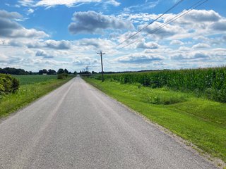 Allen County, Indiana Farmland - VIRTUAL FARM & POTENTIAL DEVELOPMENT LAND AUCTION - 35.5+/- ACRES OFFERED IN 2 TRACTS OR AS A WHOLE IN ALLEN COUNTY, INDIANA