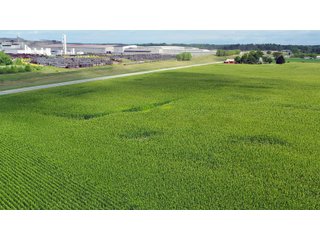 Allen County, Indiana Farmland - VIRTUAL FARM & POTENTIAL DEVELOPMENT LAND AUCTION - 35.5+/- ACRES OFFERED IN 2 TRACTS OR AS A WHOLE IN ALLEN COUNTY, INDIANA
