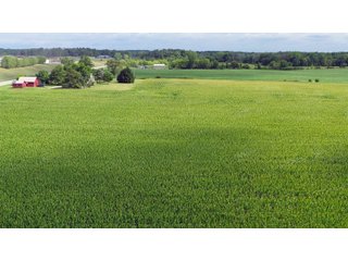 Allen County, Indiana Farmland - VIRTUAL FARM & POTENTIAL DEVELOPMENT LAND AUCTION - 35.5+/- ACRES OFFERED IN 2 TRACTS OR AS A WHOLE IN ALLEN COUNTY, INDIANA