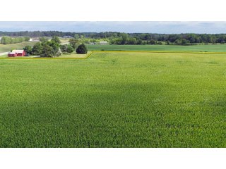 Allen County, Indiana Farmland - VIRTUAL FARM & POTENTIAL DEVELOPMENT LAND AUCTION - 35.5+/- ACRES OFFERED IN 2 TRACTS OR AS A WHOLE IN ALLEN COUNTY, INDIANA