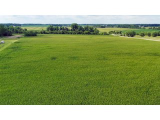 Allen County, Indiana Farmland - VIRTUAL FARM & POTENTIAL DEVELOPMENT LAND AUCTION - 35.5+/- ACRES OFFERED IN 2 TRACTS OR AS A WHOLE IN ALLEN COUNTY, INDIANA