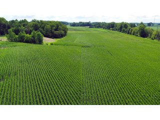 Allen County, Indiana Farmland - VIRTUAL FARM & POTENTIAL DEVELOPMENT LAND AUCTION - 35.5+/- ACRES OFFERED IN 2 TRACTS OR AS A WHOLE IN ALLEN COUNTY, INDIANA