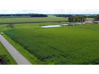 Allen County, Indiana Farmland - VIRTUAL FARM & POTENTIAL DEVELOPMENT LAND AUCTION - 35.5+/- ACRES OFFERED IN 2 TRACTS OR AS A WHOLE IN ALLEN COUNTY, INDIANA
