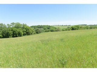 Green County, Wisconsin Farmland - LAND AUCTION - 276+/- ACRES OFFERED IN 5 TRACTS, COMBINATIONS OR AS A WHOLE IN GREEN COUNTY, WISCONSIN