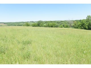 Green County, Wisconsin Farmland - LAND AUCTION - 276+/- ACRES OFFERED IN 5 TRACTS, COMBINATIONS OR AS A WHOLE IN GREEN COUNTY, WISCONSIN