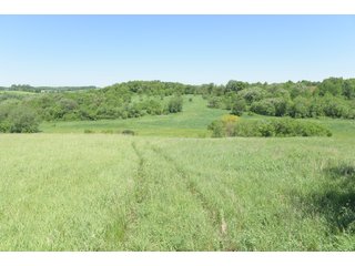 Green County, Wisconsin Farmland - LAND AUCTION - 276+/- ACRES OFFERED IN 5 TRACTS, COMBINATIONS OR AS A WHOLE IN GREEN COUNTY, WISCONSIN