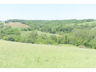 Green County, Wisconsin Farmland - LAND AUCTION - 276+/- ACRES OFFERED IN 5 TRACTS, COMBINATIONS OR AS A WHOLE IN GREEN COUNTY, WISCONSIN