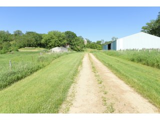 Green County, Wisconsin Farmland - LAND AUCTION - 276+/- ACRES OFFERED IN 5 TRACTS, COMBINATIONS OR AS A WHOLE IN GREEN COUNTY, WISCONSIN