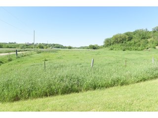 Green County, Wisconsin Farmland - LAND AUCTION - 276+/- ACRES OFFERED IN 5 TRACTS, COMBINATIONS OR AS A WHOLE IN GREEN COUNTY, WISCONSIN