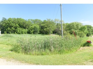 Green County, Wisconsin Farmland - LAND AUCTION - 276+/- ACRES OFFERED IN 5 TRACTS, COMBINATIONS OR AS A WHOLE IN GREEN COUNTY, WISCONSIN