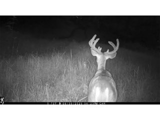 Deer in Green County, Wisconsin - LAND AUCTION - 276+/- ACRES OFFERED IN 5 TRACTS, COMBINATIONS OR AS A WHOLE IN GREEN COUNTY, WISCONSIN