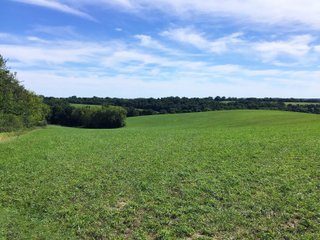 Green County, Wisconsin Farmland - LAND AUCTION - 276+/- ACRES OFFERED IN 5 TRACTS, COMBINATIONS OR AS A WHOLE IN GREEN COUNTY, WISCONSIN