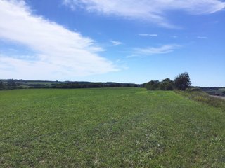 Green County, Wisconsin Farmland - LAND AUCTION - 276+/- ACRES OFFERED IN 5 TRACTS, COMBINATIONS OR AS A WHOLE IN GREEN COUNTY, WISCONSIN