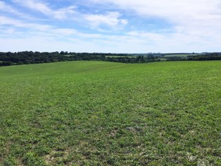 Green County, Wisconsin Farmland - LAND AUCTION - 276+/- ACRES OFFERED IN 5 TRACTS, COMBINATIONS OR AS A WHOLE IN GREEN COUNTY, WISCONSIN
