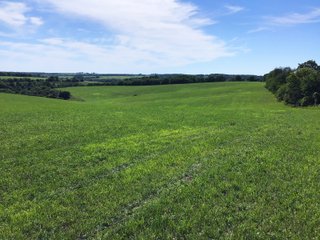 Green County, Wisconsin Farmland - LAND AUCTION - 276+/- ACRES OFFERED IN 5 TRACTS, COMBINATIONS OR AS A WHOLE IN GREEN COUNTY, WISCONSIN