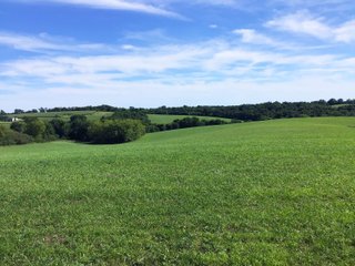 Green County, Wisconsin Farmland - LAND AUCTION - 276+/- ACRES OFFERED IN 5 TRACTS, COMBINATIONS OR AS A WHOLE IN GREEN COUNTY, WISCONSIN