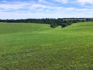 Green County, Wisconsin Farmland - LAND AUCTION - 276+/- ACRES OFFERED IN 5 TRACTS, COMBINATIONS OR AS A WHOLE IN GREEN COUNTY, WISCONSIN
