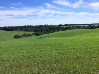 Green County, Wisconsin Farmland - LAND AUCTION - 276+/- ACRES OFFERED IN 5 TRACTS, COMBINATIONS OR AS A WHOLE IN GREEN COUNTY, WISCONSIN
