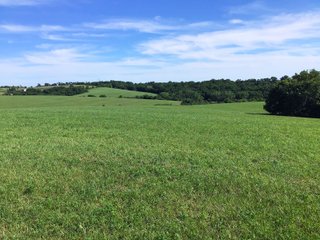 Green County, Wisconsin Farmland - LAND AUCTION - 276+/- ACRES OFFERED IN 5 TRACTS, COMBINATIONS OR AS A WHOLE IN GREEN COUNTY, WISCONSIN