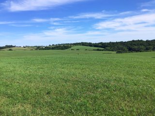 Green County, Wisconsin Farmland - LAND AUCTION - 276+/- ACRES OFFERED IN 5 TRACTS, COMBINATIONS OR AS A WHOLE IN GREEN COUNTY, WISCONSIN