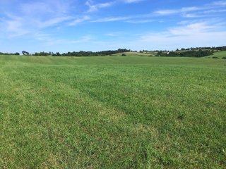 Green County, Wisconsin Farmland - LAND AUCTION - 276+/- ACRES OFFERED IN 5 TRACTS, COMBINATIONS OR AS A WHOLE IN GREEN COUNTY, WISCONSIN