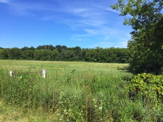 Green County, Wisconsin Farmland - LAND AUCTION - 276+/- ACRES OFFERED IN 5 TRACTS, COMBINATIONS OR AS A WHOLE IN GREEN COUNTY, WISCONSIN
