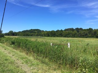 Green County, Wisconsin Farmland - LAND AUCTION - 276+/- ACRES OFFERED IN 5 TRACTS, COMBINATIONS OR AS A WHOLE IN GREEN COUNTY, WISCONSIN