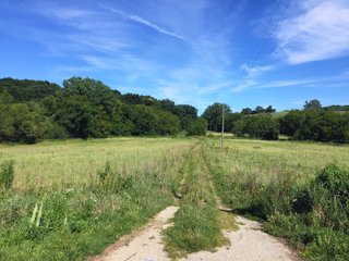 Green County, Wisconsin Farmland - LAND AUCTION - 276+/- ACRES OFFERED IN 5 TRACTS, COMBINATIONS OR AS A WHOLE IN GREEN COUNTY, WISCONSIN