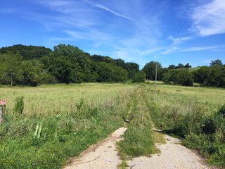 Green County, Wisconsin Farmland - LAND AUCTION - 276+/- ACRES OFFERED IN 5 TRACTS, COMBINATIONS OR AS A WHOLE IN GREEN COUNTY, WISCONSIN