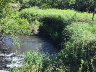 Green County, Wisconsin Farmland - LAND AUCTION - 276+/- ACRES OFFERED IN 5 TRACTS, COMBINATIONS OR AS A WHOLE IN GREEN COUNTY, WISCONSIN
