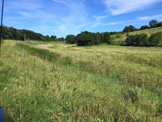 Green County, Wisconsin Farmland - LAND AUCTION - 276+/- ACRES OFFERED IN 5 TRACTS, COMBINATIONS OR AS A WHOLE IN GREEN COUNTY, WISCONSIN