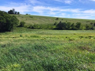 Green County, Wisconsin Farmland - LAND AUCTION - 276+/- ACRES OFFERED IN 5 TRACTS, COMBINATIONS OR AS A WHOLE IN GREEN COUNTY, WISCONSIN